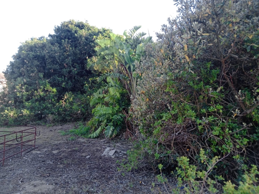 Commercial Property for Sale in Paradise Beach Eastern Cape